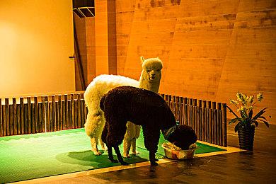 宫崎英高承诺：《艾尔登法环》会有更多内容